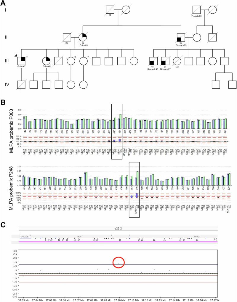 https://cdn.ncbi.nlm.nih.gov/pmc/blobs/f3eb/11739559/e617c1929564/41525_2025_462_Fig1_HTML.jpg