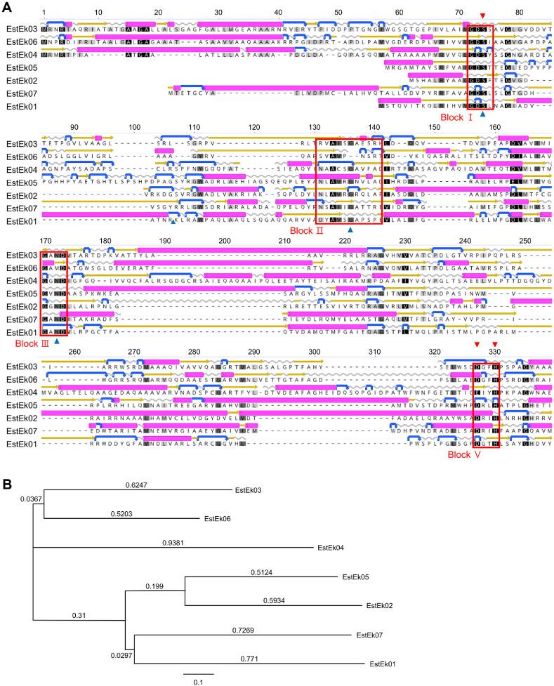 https://cdn.ncbi.nlm.nih.gov/pmc/blobs/f3ed/12351110/f21ca5446866/jmb-35-e2504022-f2.jpg