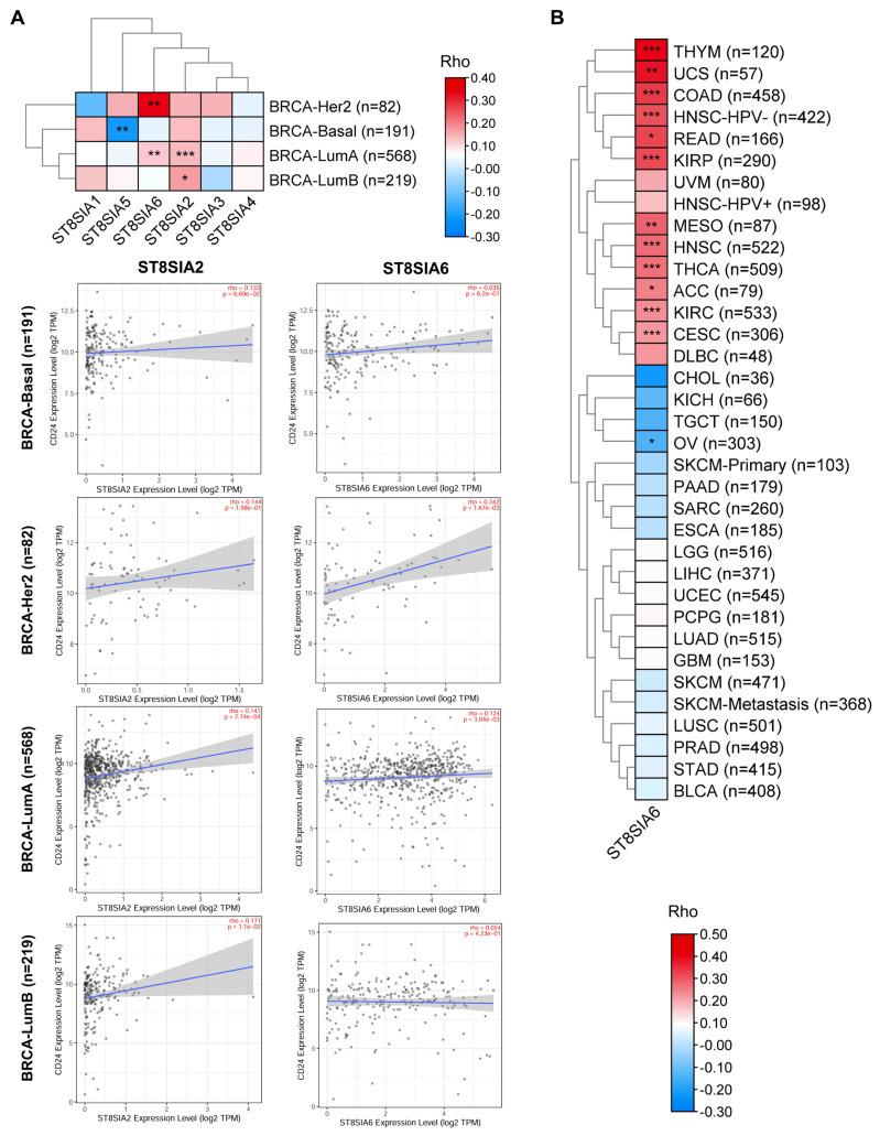 https://cdn.ncbi.nlm.nih.gov/pmc/blobs/f3ee/11719756/c4f592f1e5c6/cells-14-00009-g005.jpg