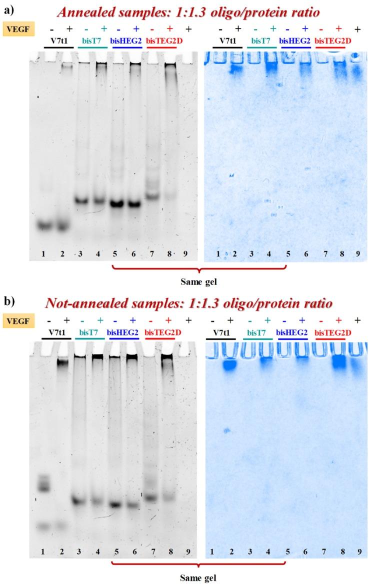 https://cdn.ncbi.nlm.nih.gov/pmc/blobs/f3f0/7139925/15c45fd26106/ijms-21-01963-g006.jpg