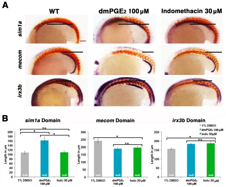 https://cdn.ncbi.nlm.nih.gov/pmc/blobs/f3f2/5173325/2d14d5aa5f45/elife-17551-fig6.jpg