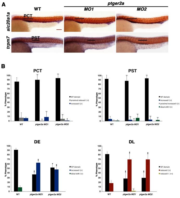https://cdn.ncbi.nlm.nih.gov/pmc/blobs/f3f2/5173325/72238f8b042e/elife-17551-fig4-figsupp5.jpg