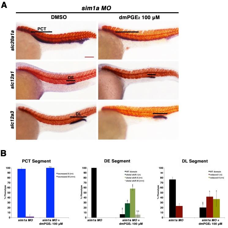https://cdn.ncbi.nlm.nih.gov/pmc/blobs/f3f2/5173325/f4e4b4f176b1/elife-17551-fig7-figsupp2.jpg