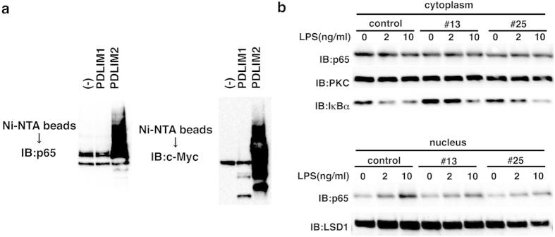 https://cdn.ncbi.nlm.nih.gov/pmc/blobs/f3f3/4683373/41ac2ee5447f/srep18327-f4.jpg