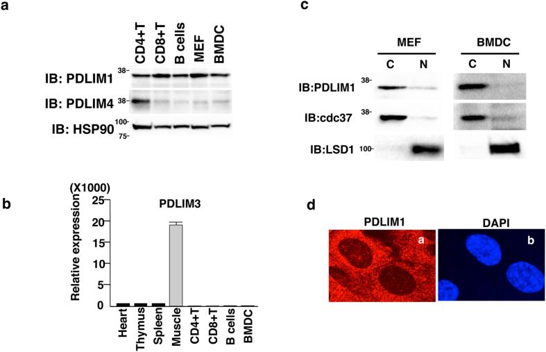 https://cdn.ncbi.nlm.nih.gov/pmc/blobs/f3f3/4683373/ab598e85da78/srep18327-f1.jpg