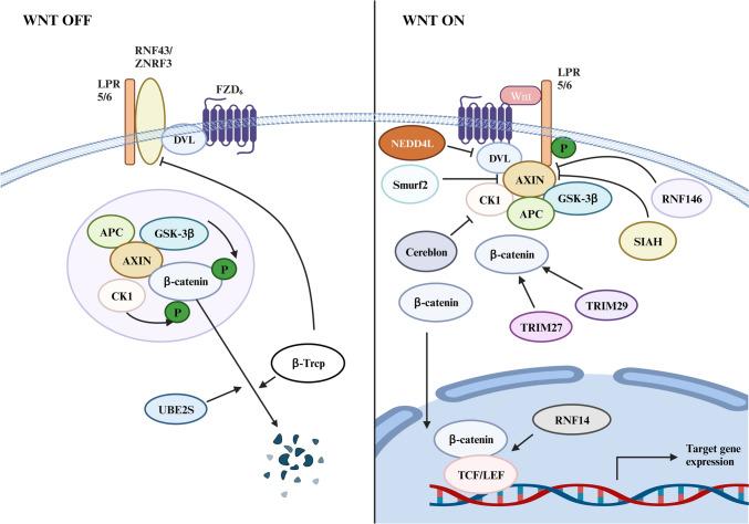 https://cdn.ncbi.nlm.nih.gov/pmc/blobs/f3f4/10960765/7549406df1e4/432_2024_5659_Fig2_HTML.jpg