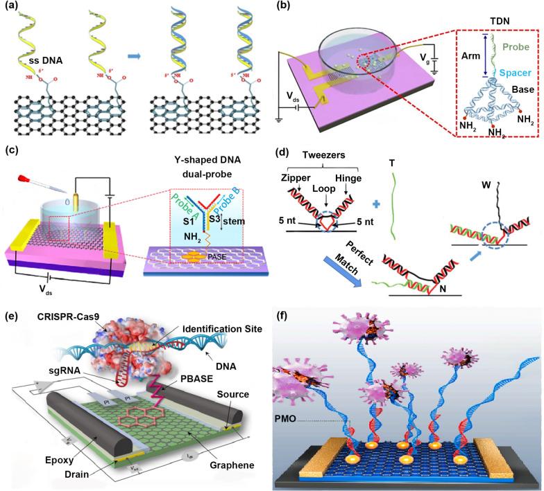 https://cdn.ncbi.nlm.nih.gov/pmc/blobs/f3f5/10149028/37d2534199a4/12951_2023_1898_Fig7_HTML.jpg