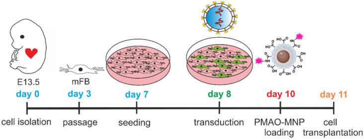 https://cdn.ncbi.nlm.nih.gov/pmc/blobs/f3f5/11984384/3511a27539b7/thnov15p4287g001.jpg