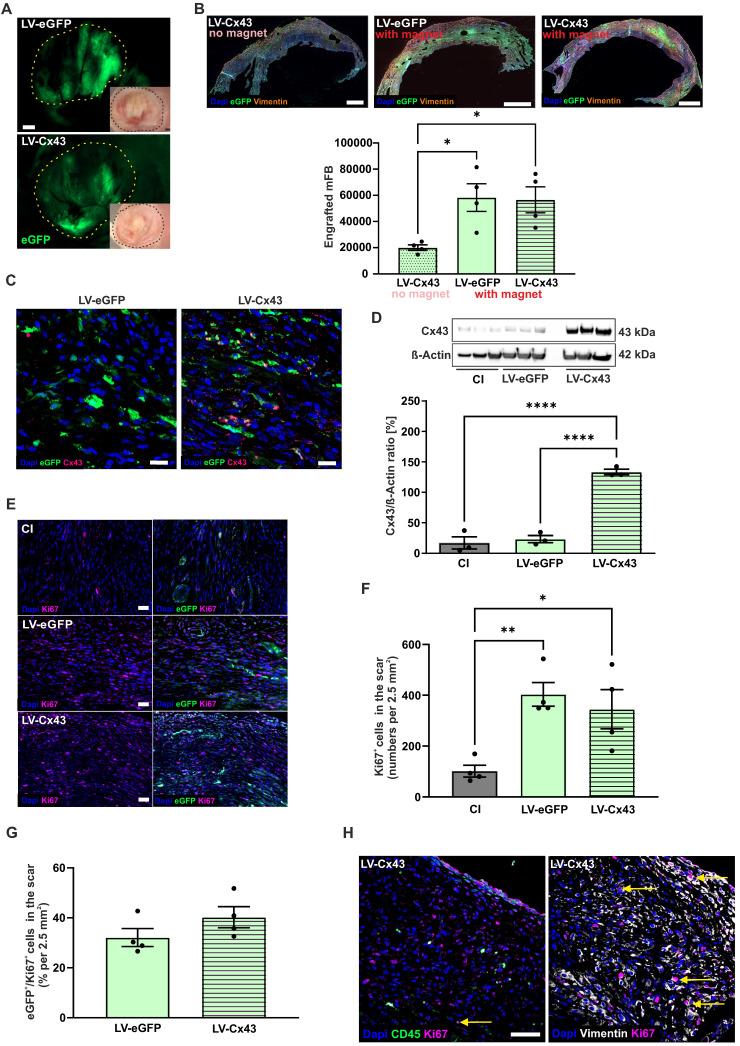 https://cdn.ncbi.nlm.nih.gov/pmc/blobs/f3f5/11984384/3db611febc24/thnov15p4287g005.jpg