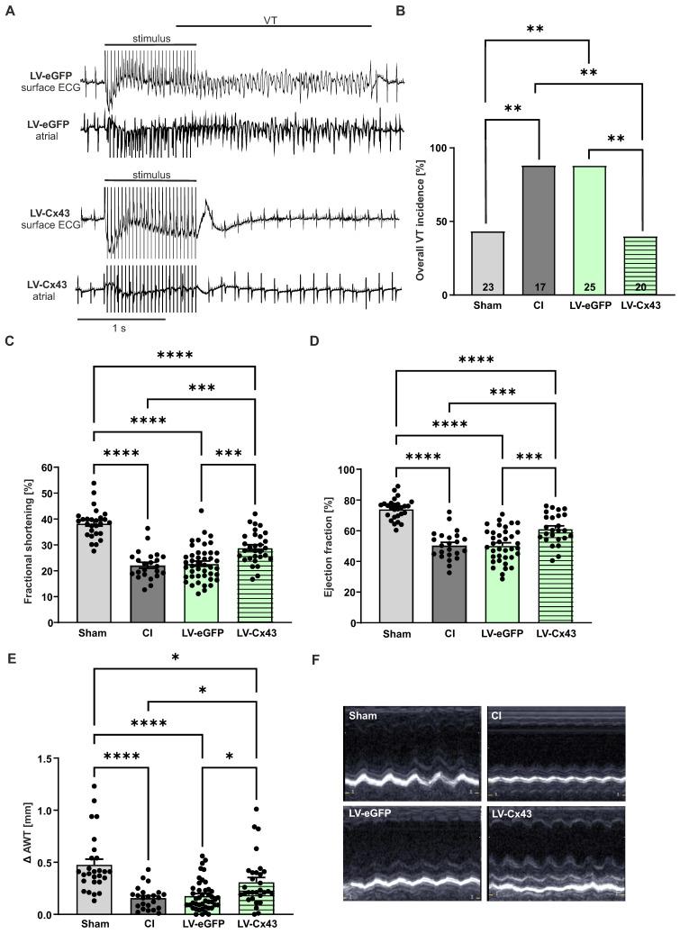 https://cdn.ncbi.nlm.nih.gov/pmc/blobs/f3f5/11984384/691d18268a49/thnov15p4287g007.jpg