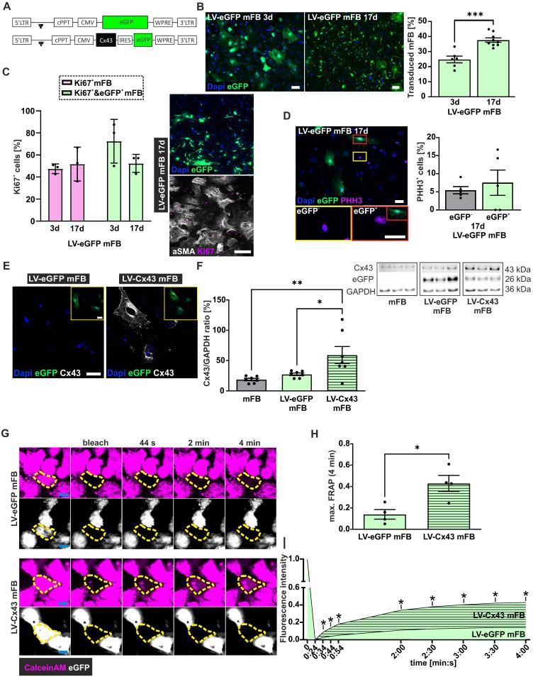 https://cdn.ncbi.nlm.nih.gov/pmc/blobs/f3f5/11984384/7413511d3587/thnov15p4287g004.jpg
