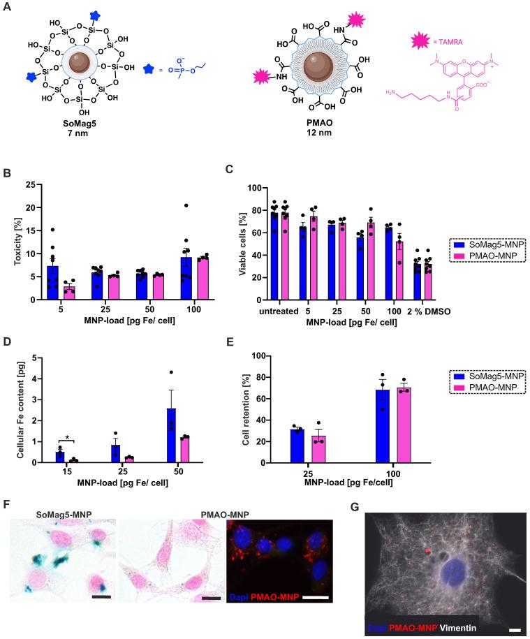 https://cdn.ncbi.nlm.nih.gov/pmc/blobs/f3f5/11984384/7723d0fffdd7/thnov15p4287g003.jpg