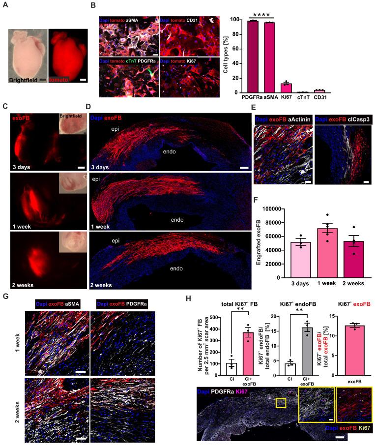 https://cdn.ncbi.nlm.nih.gov/pmc/blobs/f3f5/11984384/964310b5aa87/thnov15p4287g006.jpg