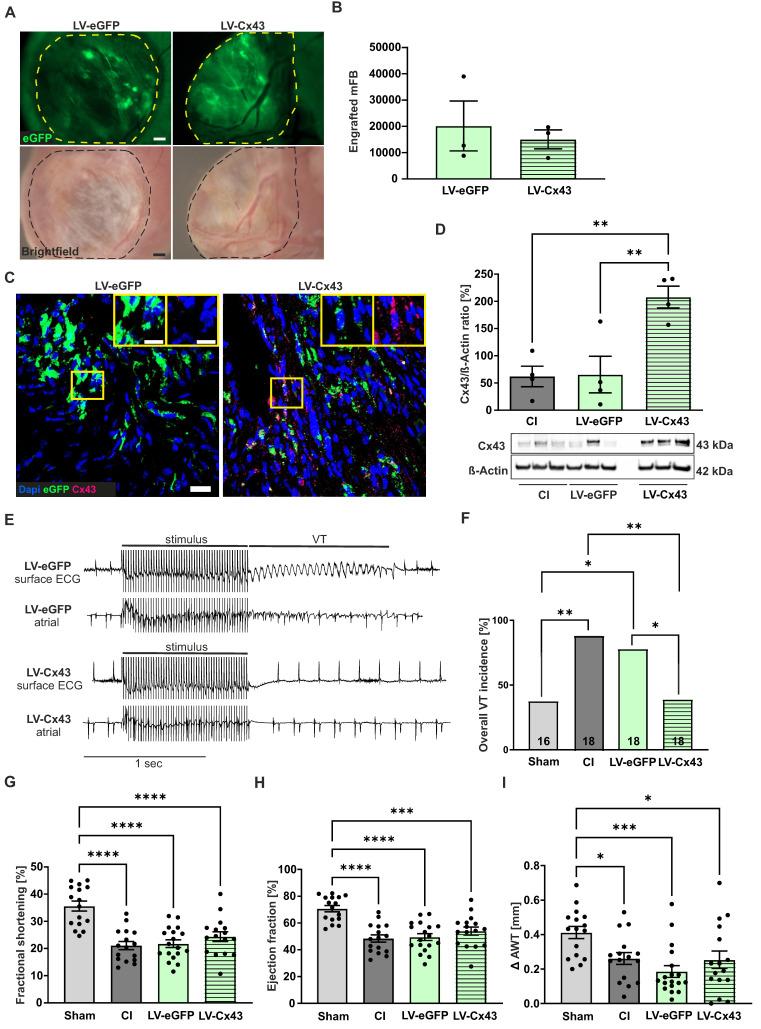 https://cdn.ncbi.nlm.nih.gov/pmc/blobs/f3f5/11984384/ac2c71a617fd/thnov15p4287g008.jpg