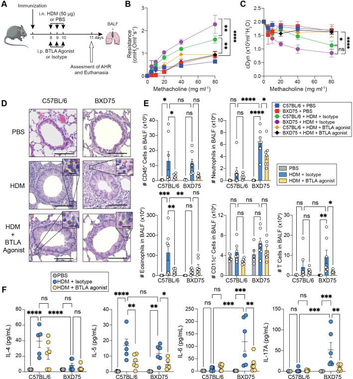 https://cdn.ncbi.nlm.nih.gov/pmc/blobs/f3f8/11986467/04dd6959d832/fimmu-16-1552394-g005.jpg
