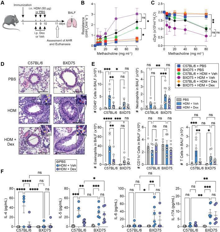 https://cdn.ncbi.nlm.nih.gov/pmc/blobs/f3f8/11986467/0b12a475d693/fimmu-16-1552394-g003.jpg