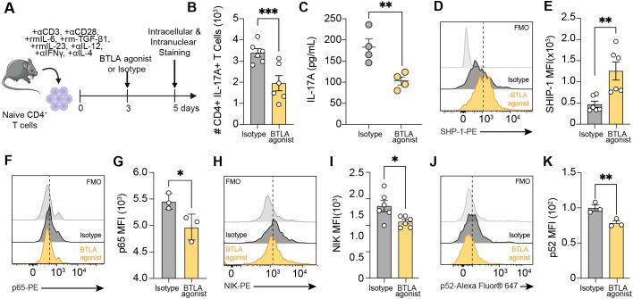https://cdn.ncbi.nlm.nih.gov/pmc/blobs/f3f8/11986467/863ad624671b/fimmu-16-1552394-g006.jpg