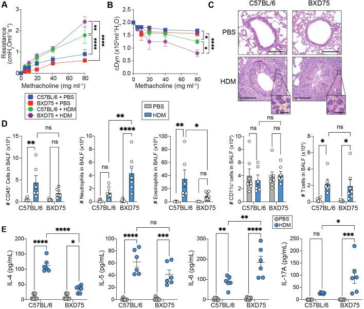 https://cdn.ncbi.nlm.nih.gov/pmc/blobs/f3f8/11986467/994260affac4/fimmu-16-1552394-g002.jpg