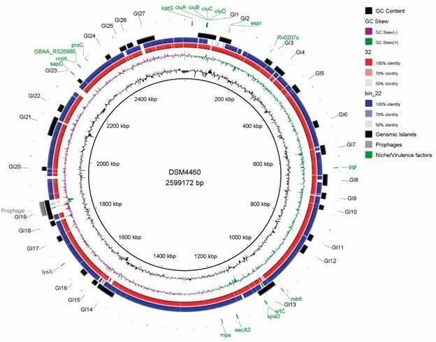 https://cdn.ncbi.nlm.nih.gov/pmc/blobs/f3fa/11508509/753142b2c978/1678-8060-mioc-119-e240156-gf.jpg