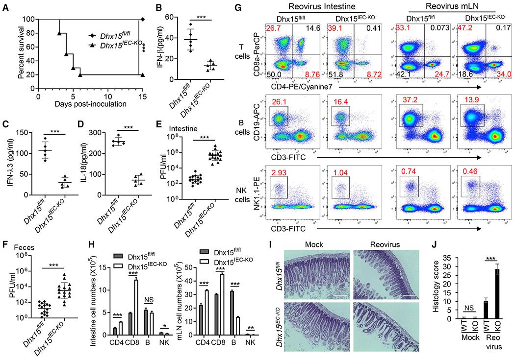https://cdn.ncbi.nlm.nih.gov/pmc/blobs/f3ff/8276442/826ec0330528/nihms-1717851-f0005.jpg