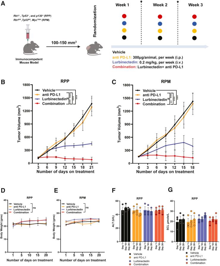 https://cdn.ncbi.nlm.nih.gov/pmc/blobs/f400/11722101/c28905716010/gr1.jpg