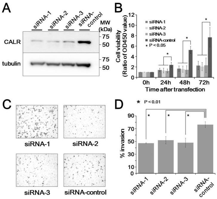https://cdn.ncbi.nlm.nih.gov/pmc/blobs/f402/6631384/b18f96480a99/proteomes-07-00013-g004.jpg