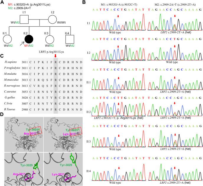 https://cdn.ncbi.nlm.nih.gov/pmc/blobs/f404/9911814/053f236d11bb/fgene-14-1107347-g002.jpg