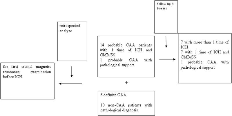 https://cdn.ncbi.nlm.nih.gov/pmc/blobs/f405/7885301/3f25bbf5d683/j_med-2021-0212-fig001.jpg