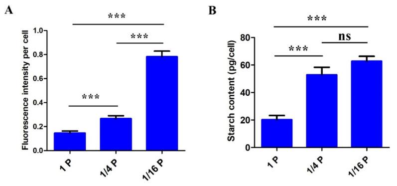 https://cdn.ncbi.nlm.nih.gov/pmc/blobs/f406/10535992/0e750dfb472d/microorganisms-11-02216-g004.jpg