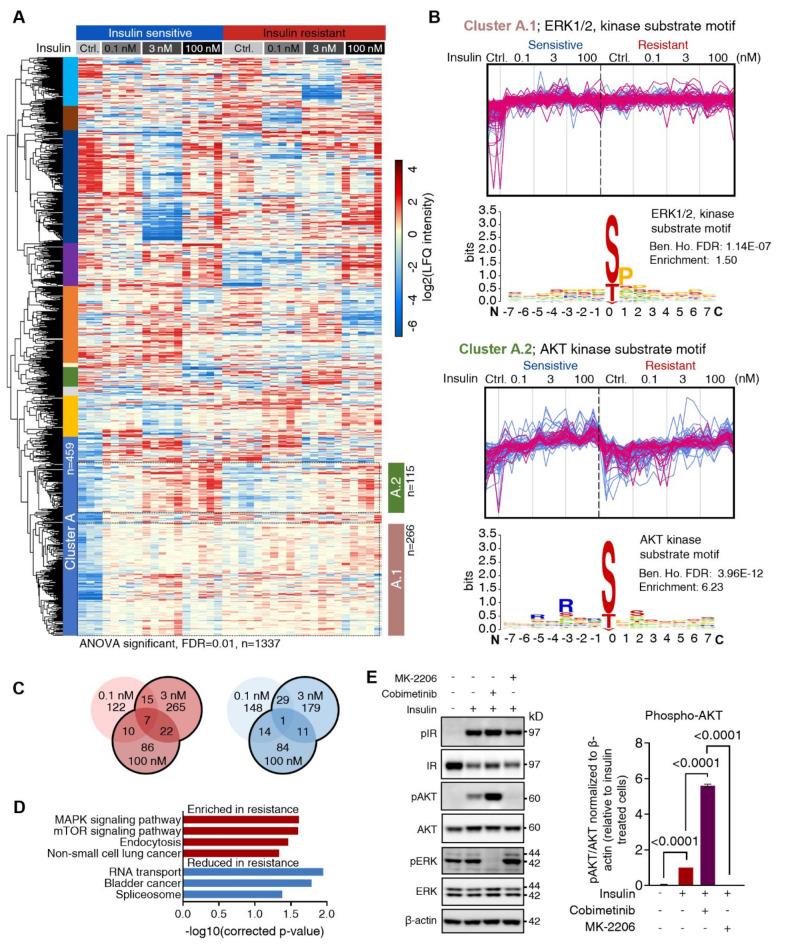 https://cdn.ncbi.nlm.nih.gov/pmc/blobs/f406/11582730/c34a8776231f/41598_2024_77817_Fig3_HTML.jpg