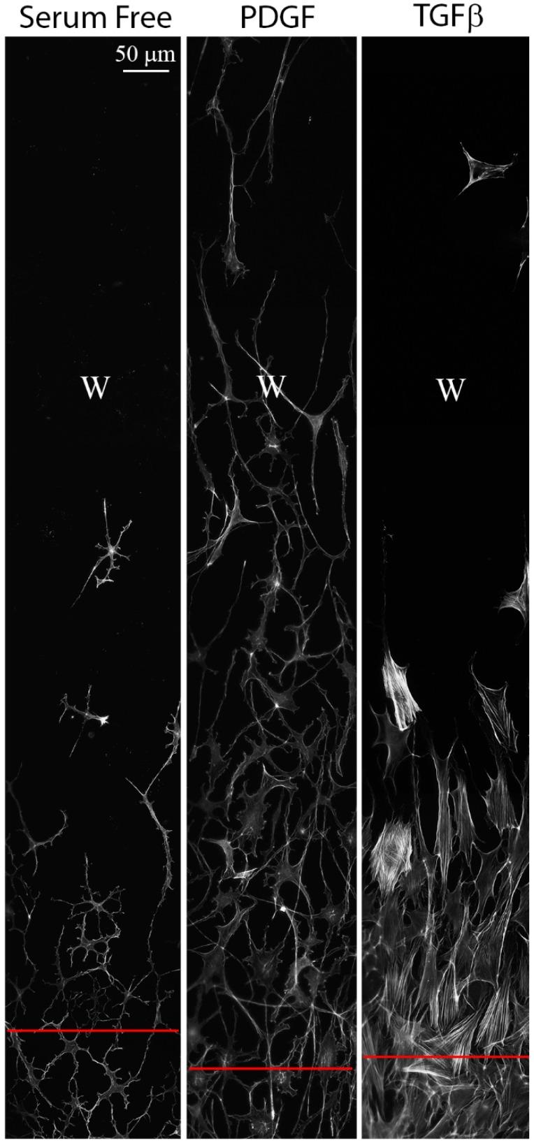 https://cdn.ncbi.nlm.nih.gov/pmc/blobs/f40c/6306816/4e77f297acad/jfb-09-00054-g004.jpg