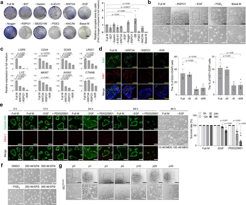 https://cdn.ncbi.nlm.nih.gov/pmc/blobs/f40d/10821882/64a127c2bb43/41467_2024_45103_Fig2_HTML.jpg