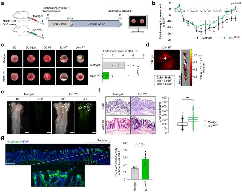 https://cdn.ncbi.nlm.nih.gov/pmc/blobs/f40d/10821882/bff29731a1ca/41467_2024_45103_Fig6_HTML.jpg
