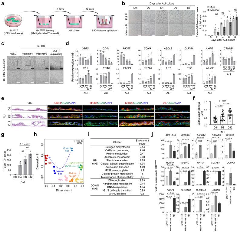 https://cdn.ncbi.nlm.nih.gov/pmc/blobs/f40d/10821882/e4bdc402a5eb/41467_2024_45103_Fig4_HTML.jpg