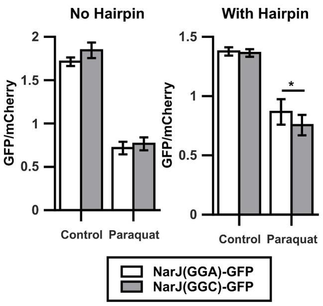 https://cdn.ncbi.nlm.nih.gov/pmc/blobs/f410/7461829/c53da551e57e/fgene-11-00856-g003.jpg