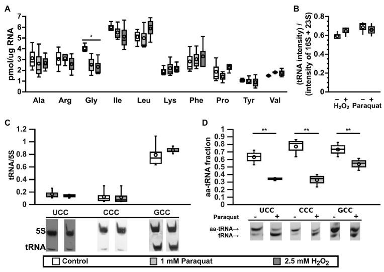 https://cdn.ncbi.nlm.nih.gov/pmc/blobs/f410/7461829/d11672a51c22/fgene-11-00856-g001.jpg