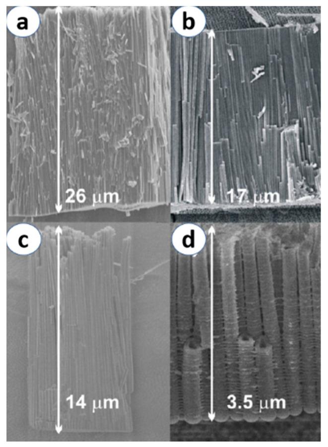 https://cdn.ncbi.nlm.nih.gov/pmc/blobs/f411/7372330/ff94a0766d19/materials-13-02974-g005.jpg
