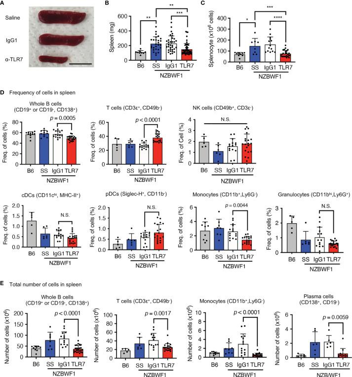 https://cdn.ncbi.nlm.nih.gov/pmc/blobs/f414/8632649/15baffb7bee7/fimmu-12-777197-g003.jpg