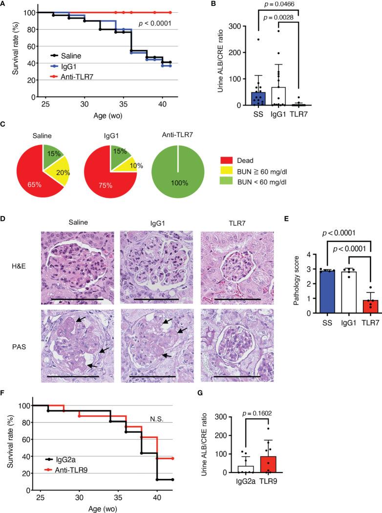 https://cdn.ncbi.nlm.nih.gov/pmc/blobs/f414/8632649/9e098675afee/fimmu-12-777197-g001.jpg