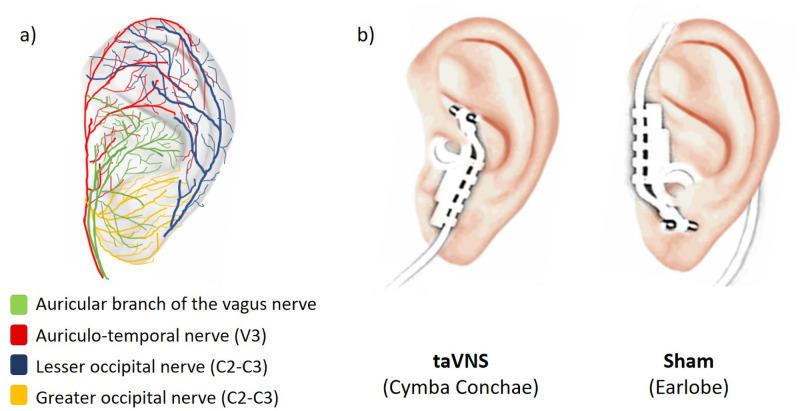 https://cdn.ncbi.nlm.nih.gov/pmc/blobs/f415/8274876/368e52193838/pone.0254480.g001.jpg