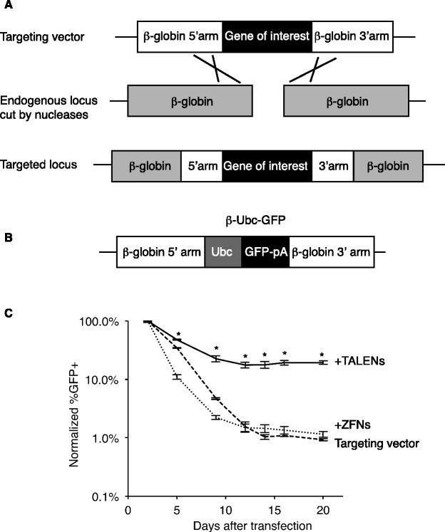 https://cdn.ncbi.nlm.nih.gov/pmc/blobs/f419/3902937/df072f8de51d/gkt947f2p.jpg