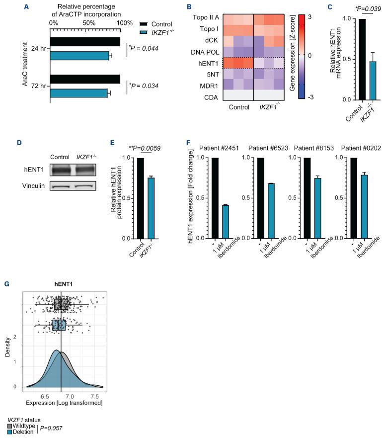 https://cdn.ncbi.nlm.nih.gov/pmc/blobs/f41c/11609812/c30e35e9588d/1093904.fig3.jpg
