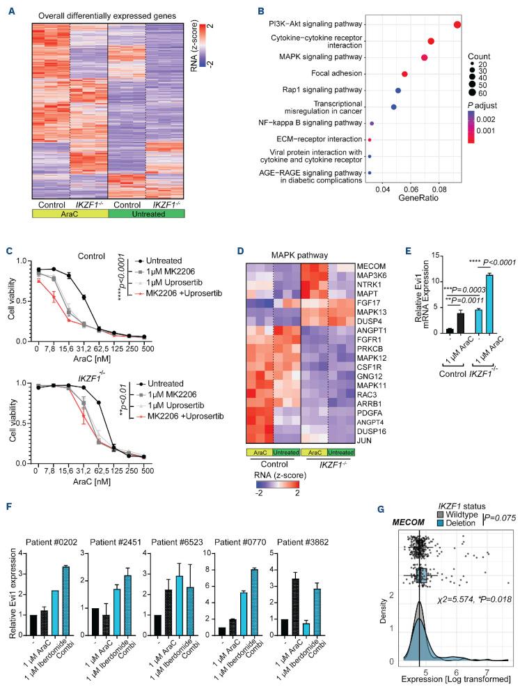 https://cdn.ncbi.nlm.nih.gov/pmc/blobs/f41c/11609812/ecc951d1f878/1093904.fig4.jpg
