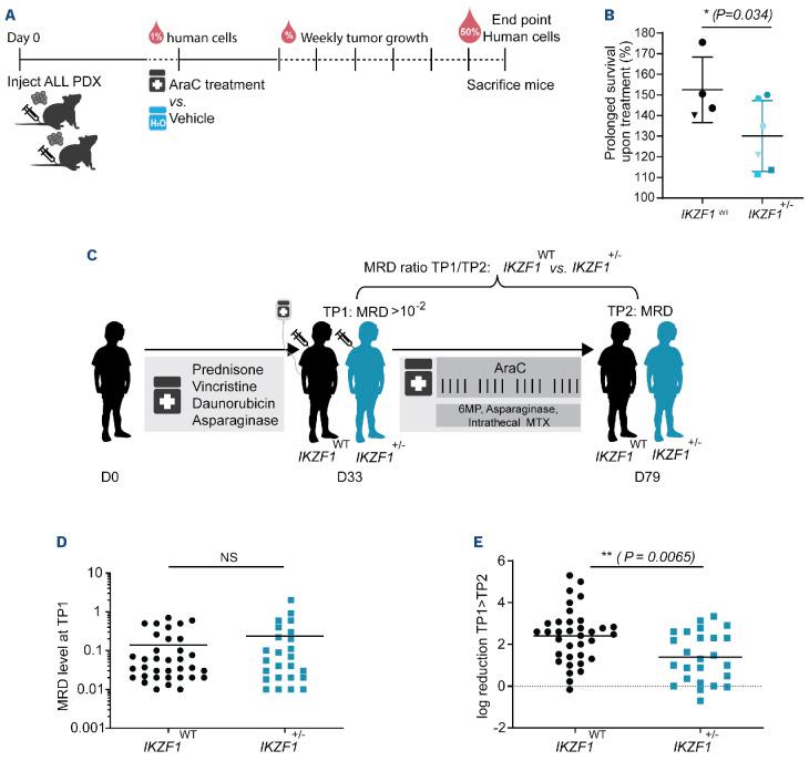 https://cdn.ncbi.nlm.nih.gov/pmc/blobs/f41c/11609812/edcd8c050803/1093904.fig2.jpg