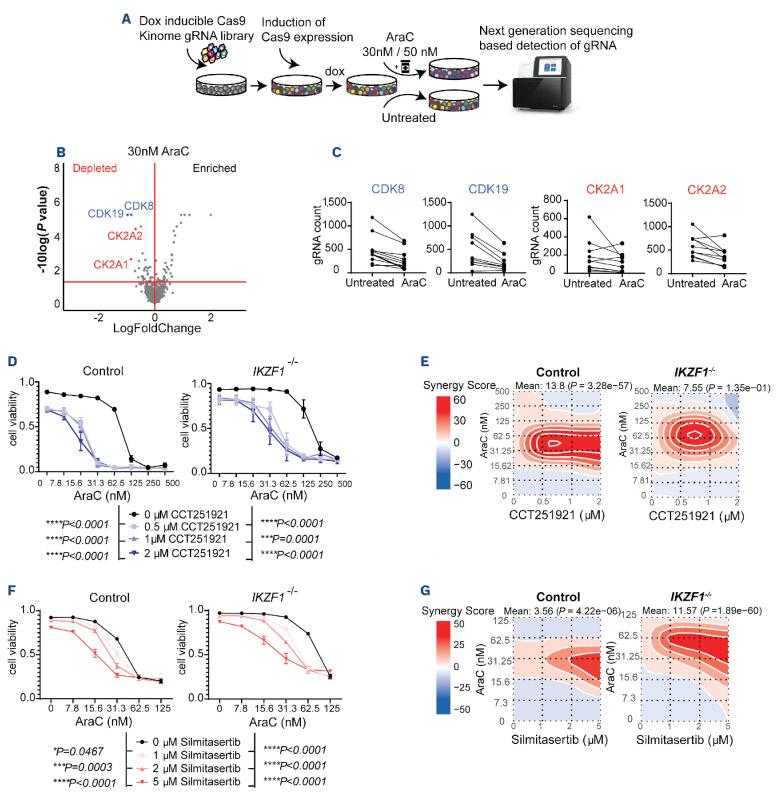 https://cdn.ncbi.nlm.nih.gov/pmc/blobs/f41c/11609812/eeca1f27aa0b/1093904.fig5.jpg