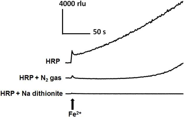 https://cdn.ncbi.nlm.nih.gov/pmc/blobs/f41d/4077124/3ffe6b747017/fpls-05-00285-g0005.jpg