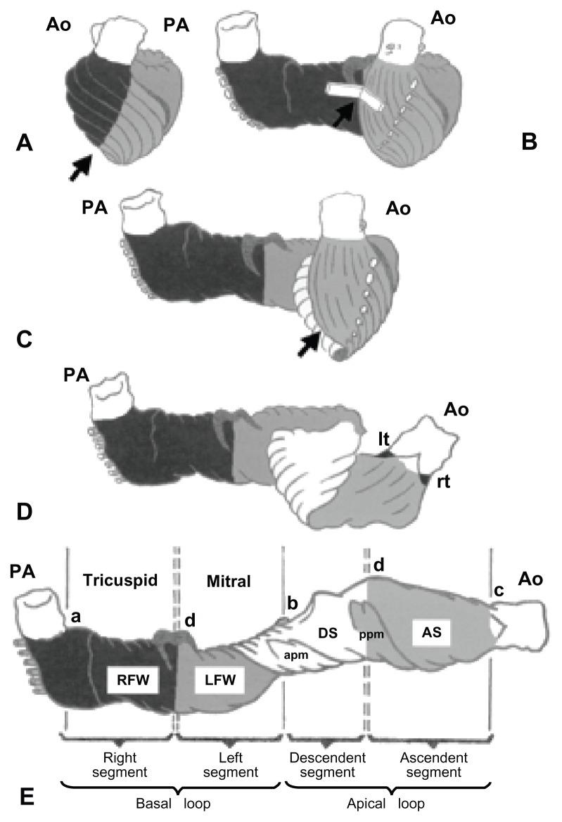 https://cdn.ncbi.nlm.nih.gov/pmc/blobs/f41e/3526148/7ffdefb565c8/ijn-7-5969f1.jpg