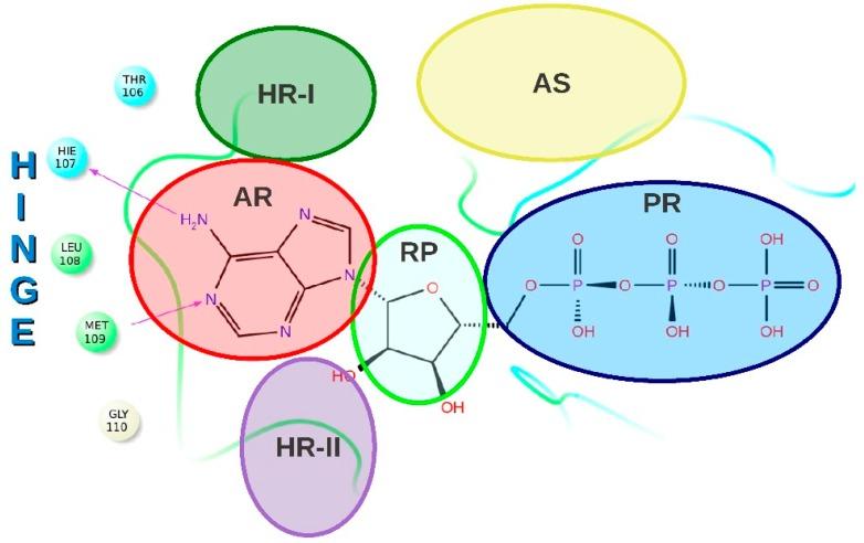 https://cdn.ncbi.nlm.nih.gov/pmc/blobs/f41f/6331920/73922bd4475a/molecules-20-15842-g001.jpg