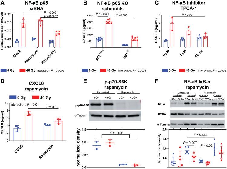 https://cdn.ncbi.nlm.nih.gov/pmc/blobs/f41f/8942354/42537eb9bf56/sciadv.abh4050-f5.jpg