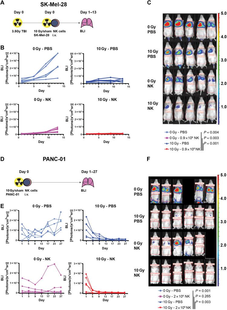 https://cdn.ncbi.nlm.nih.gov/pmc/blobs/f41f/8942354/6cb353f1f2e5/sciadv.abh4050-f7.jpg